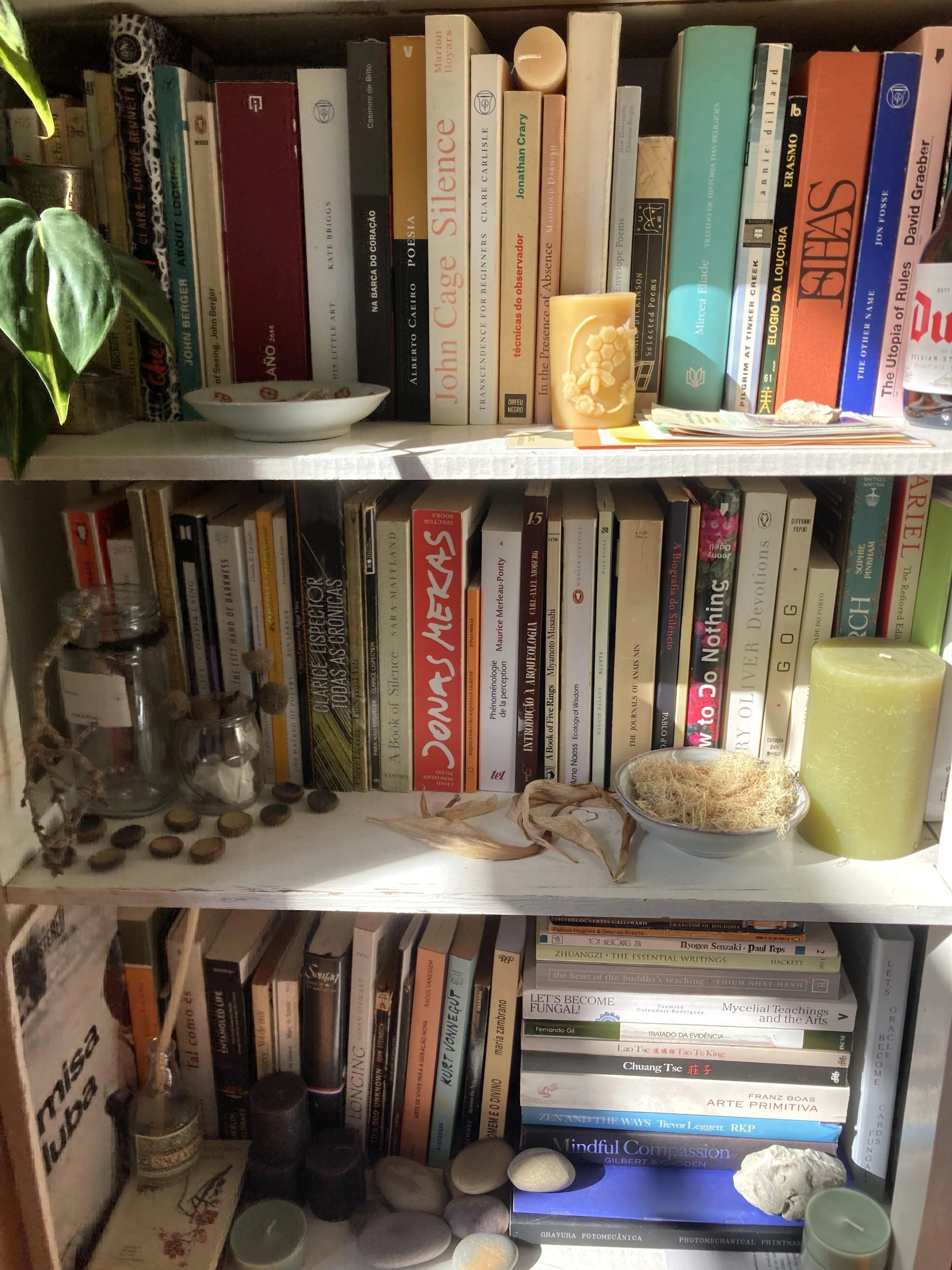 Bookshelf collection