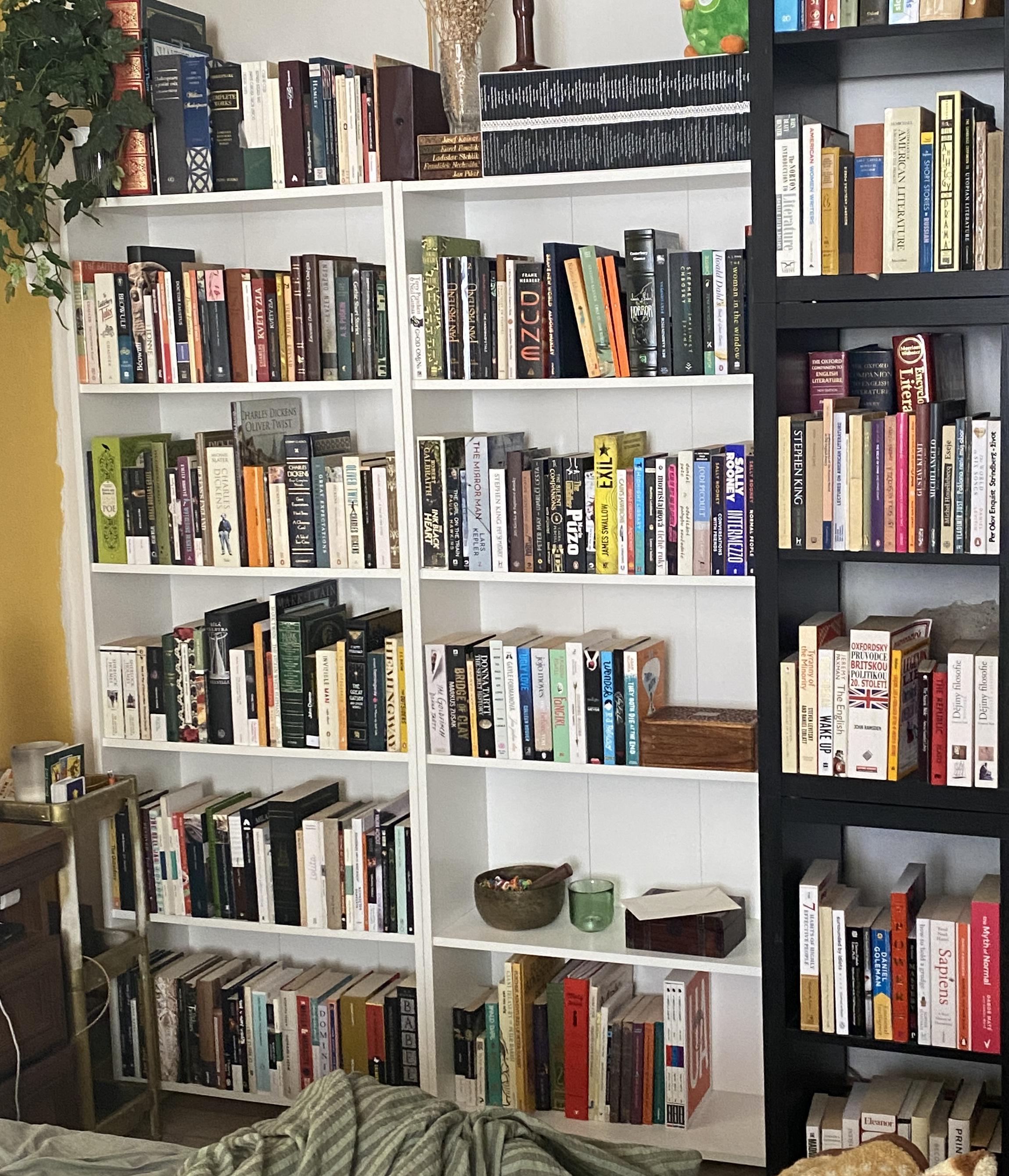 Bookshelf collection