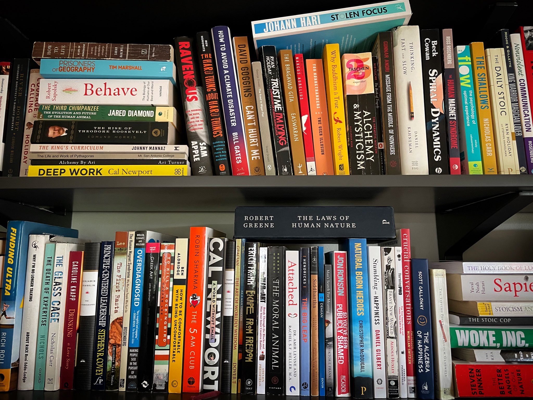 Bookshelf collection
