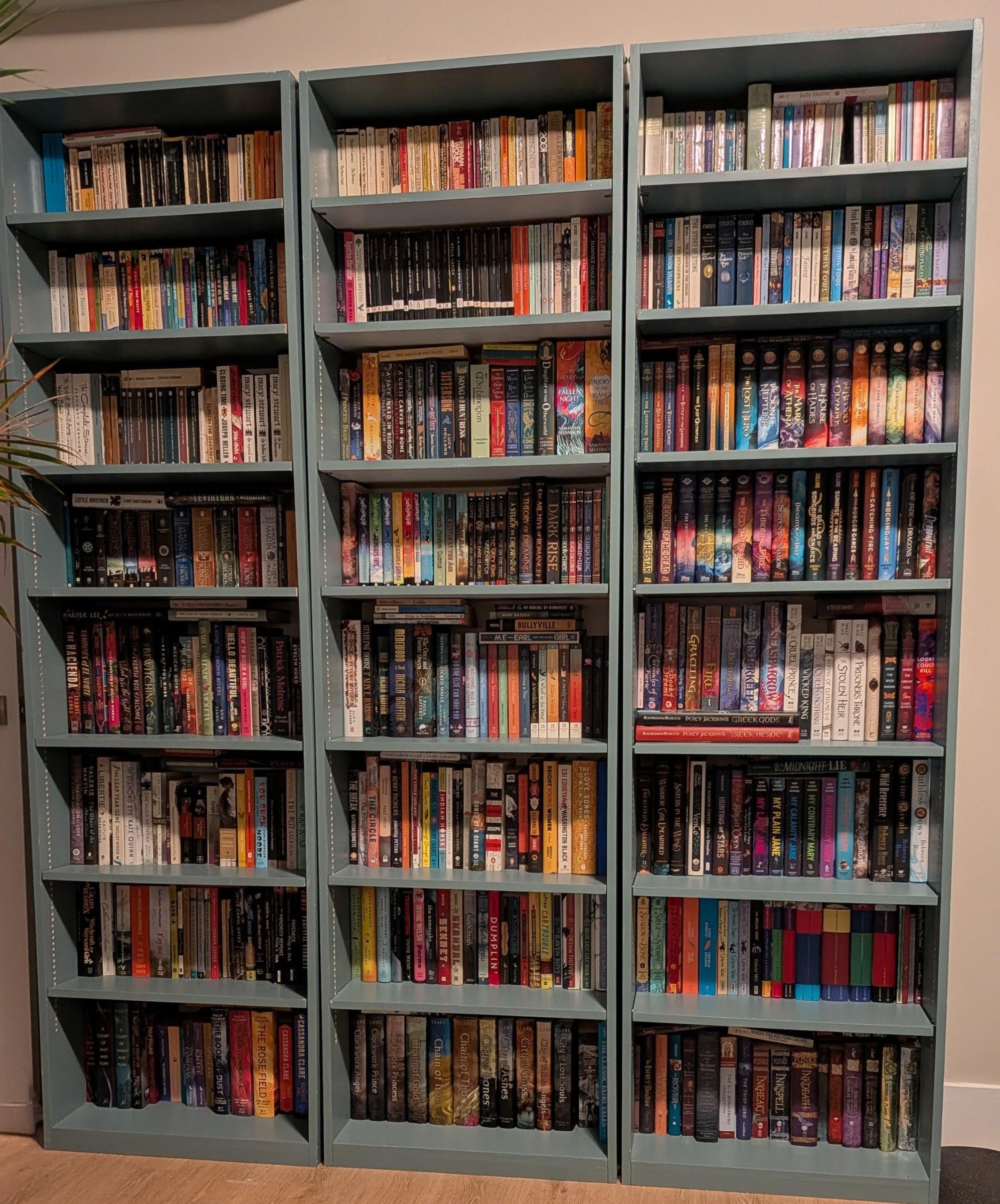 Bookshelf collection