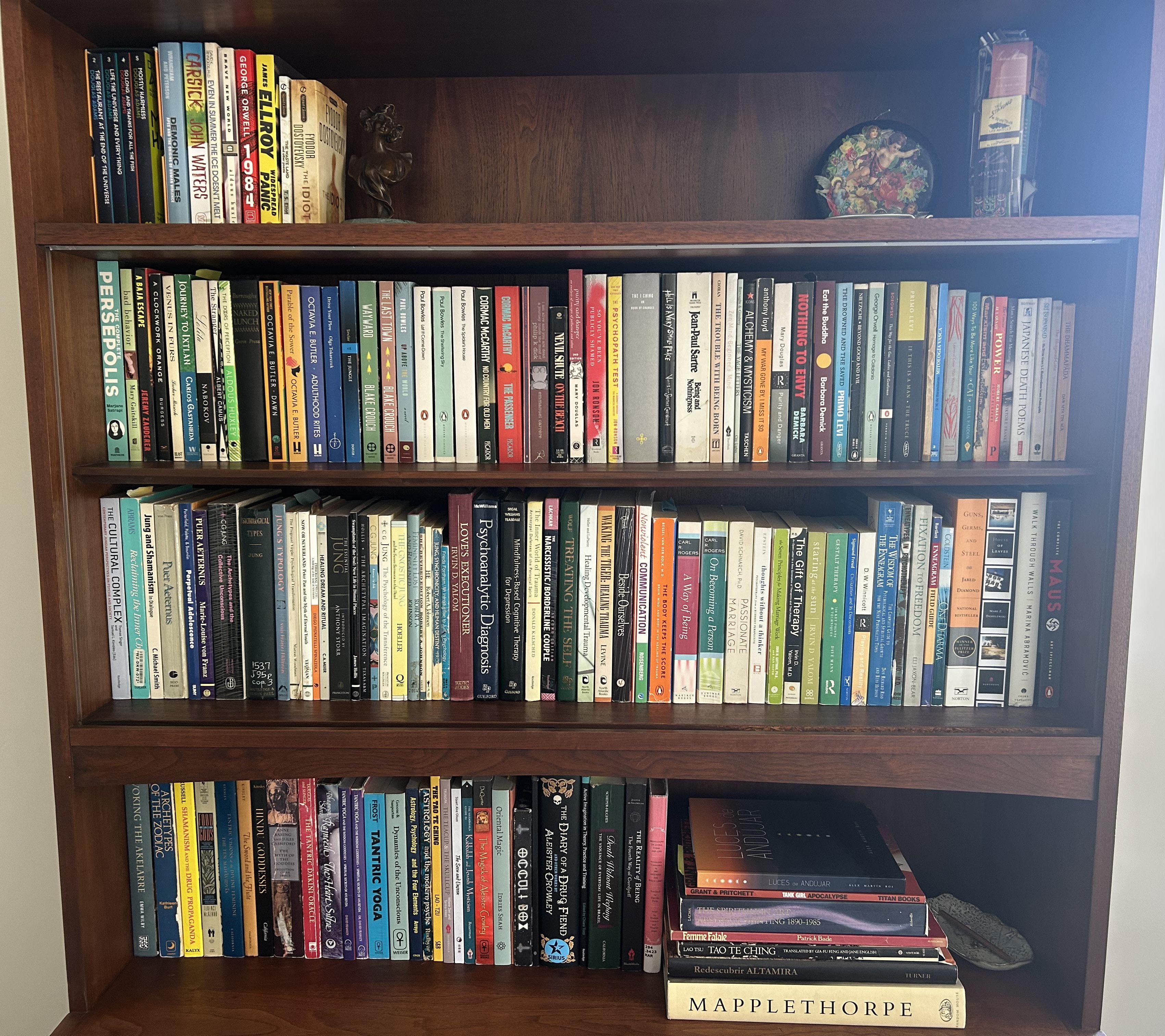 Bookshelf collection