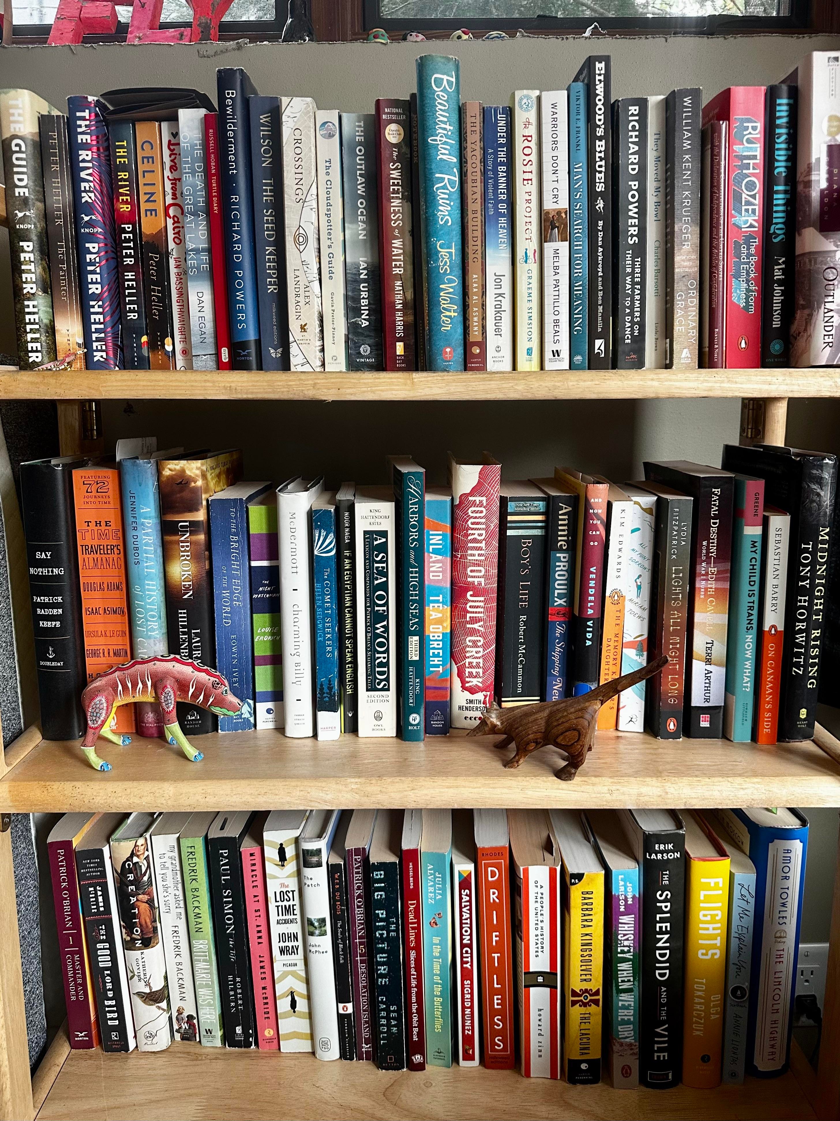 Bookshelf collection