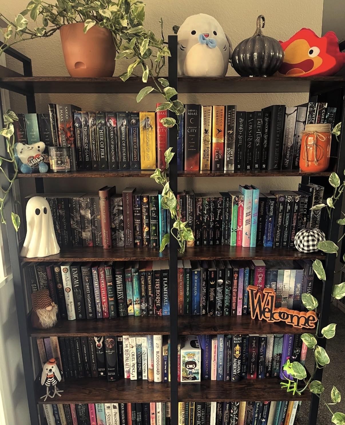Bookshelf collection
