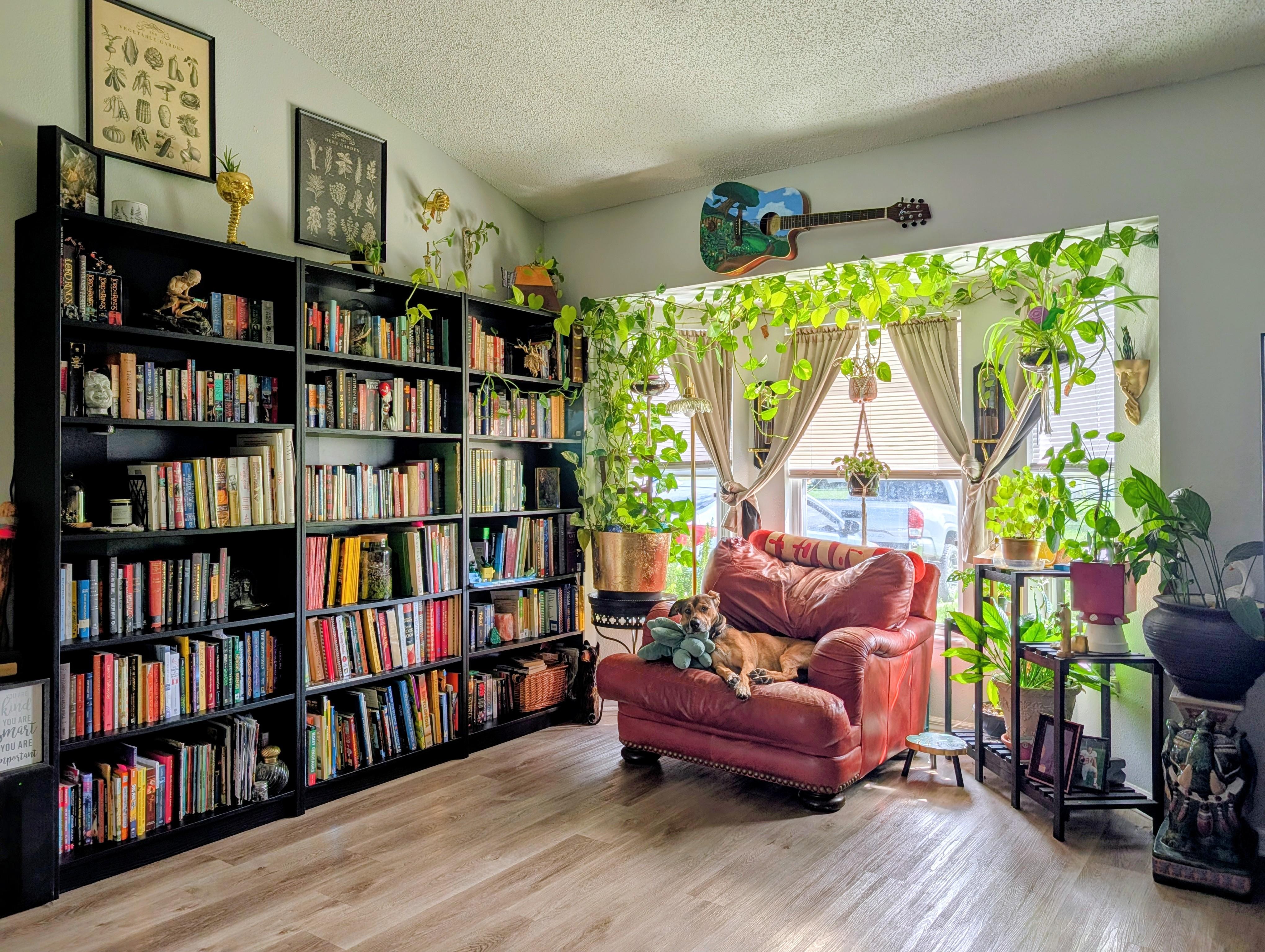 Bookshelf collection