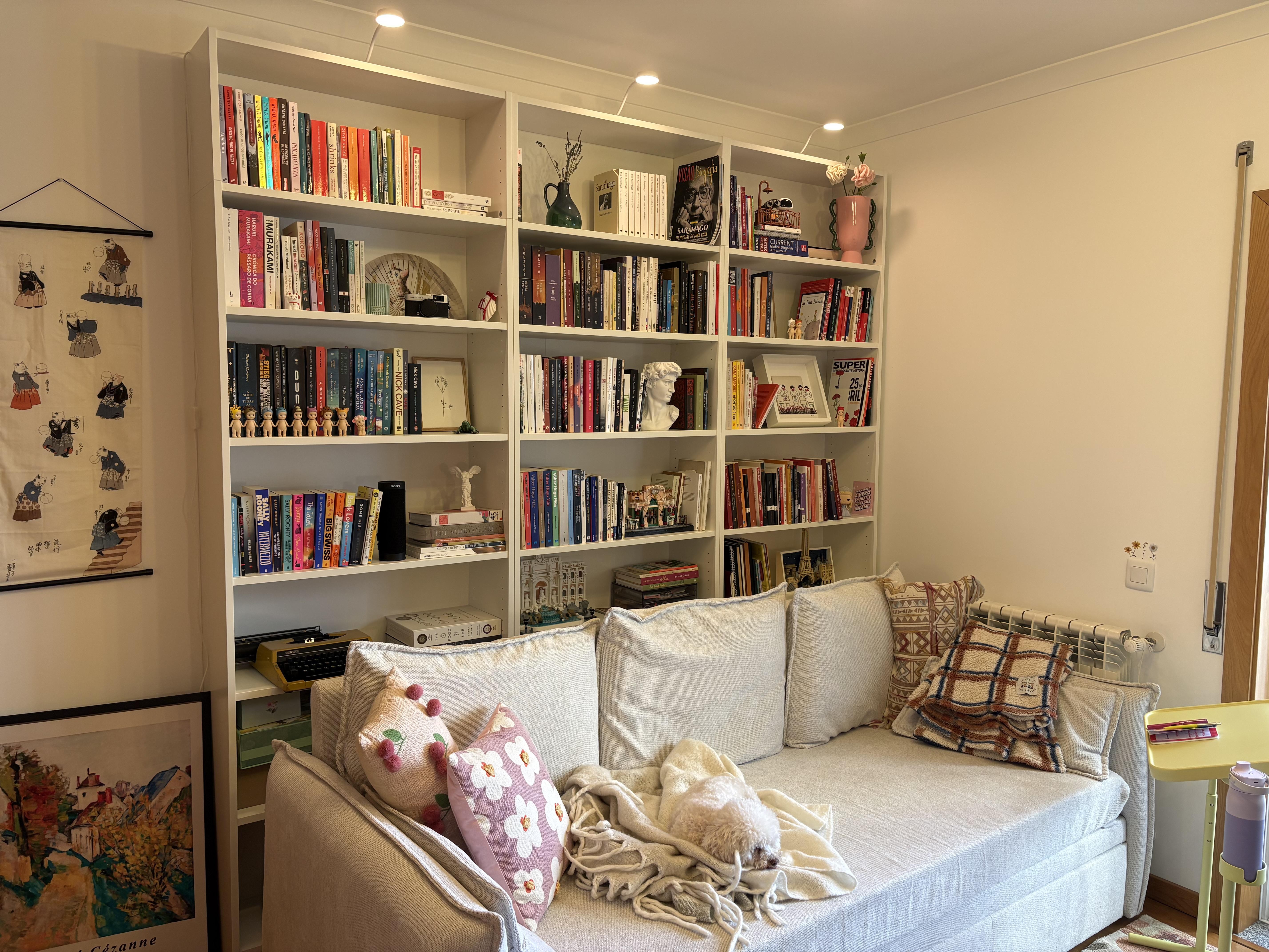 Bookshelf collection
