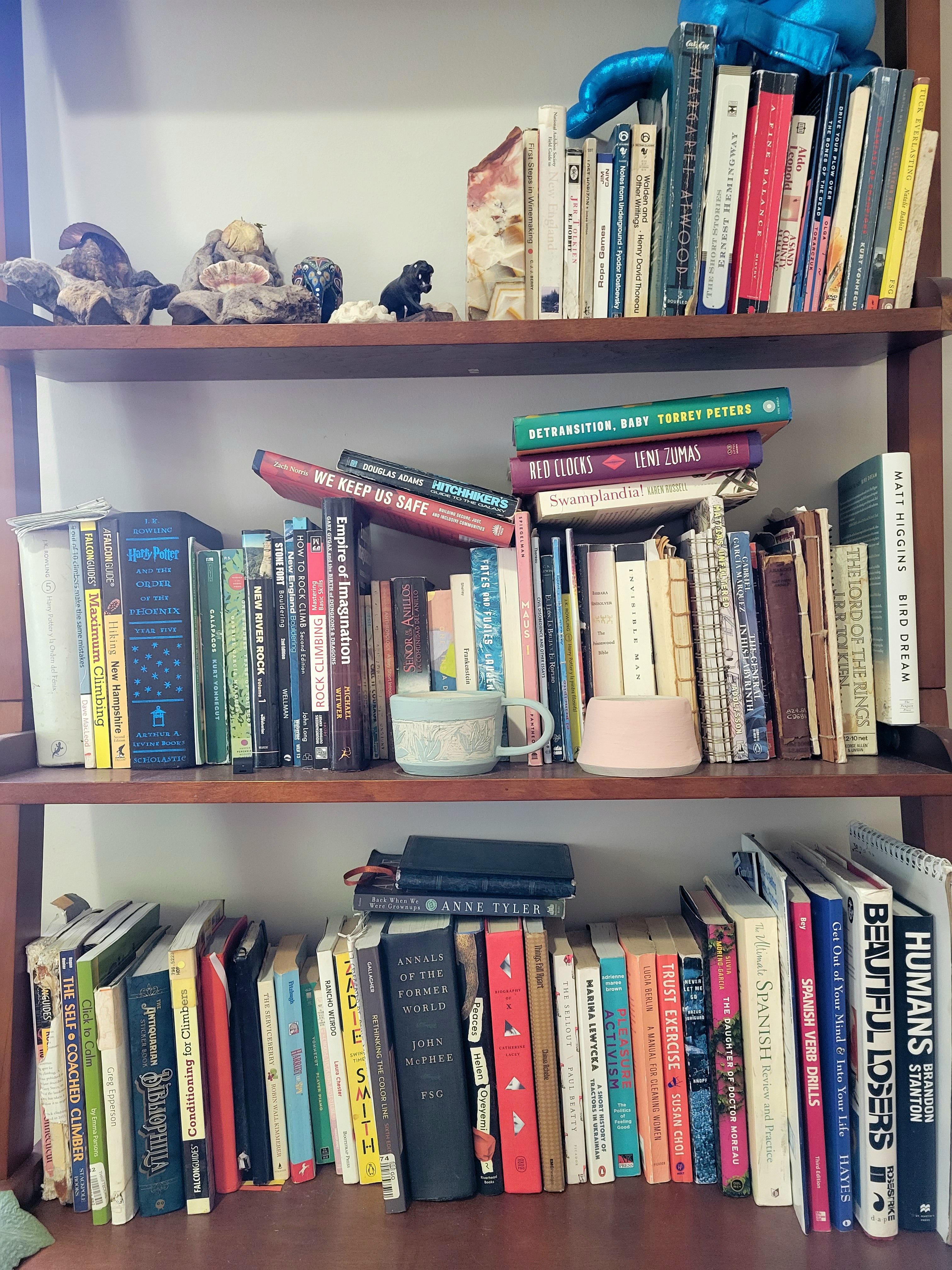 Bookshelf collection