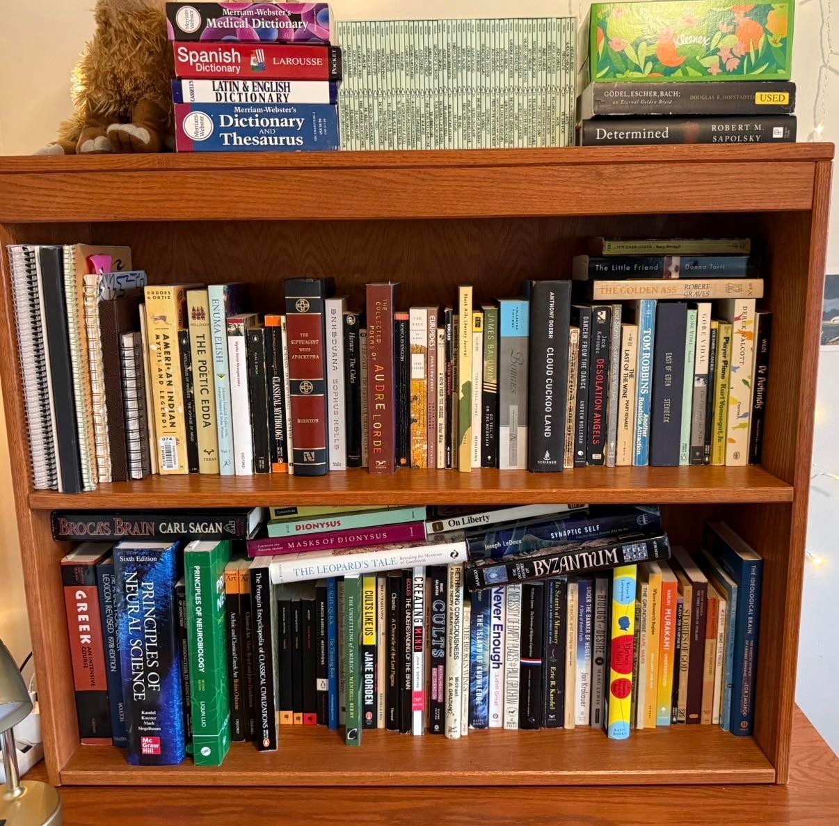 Bookshelf collection
