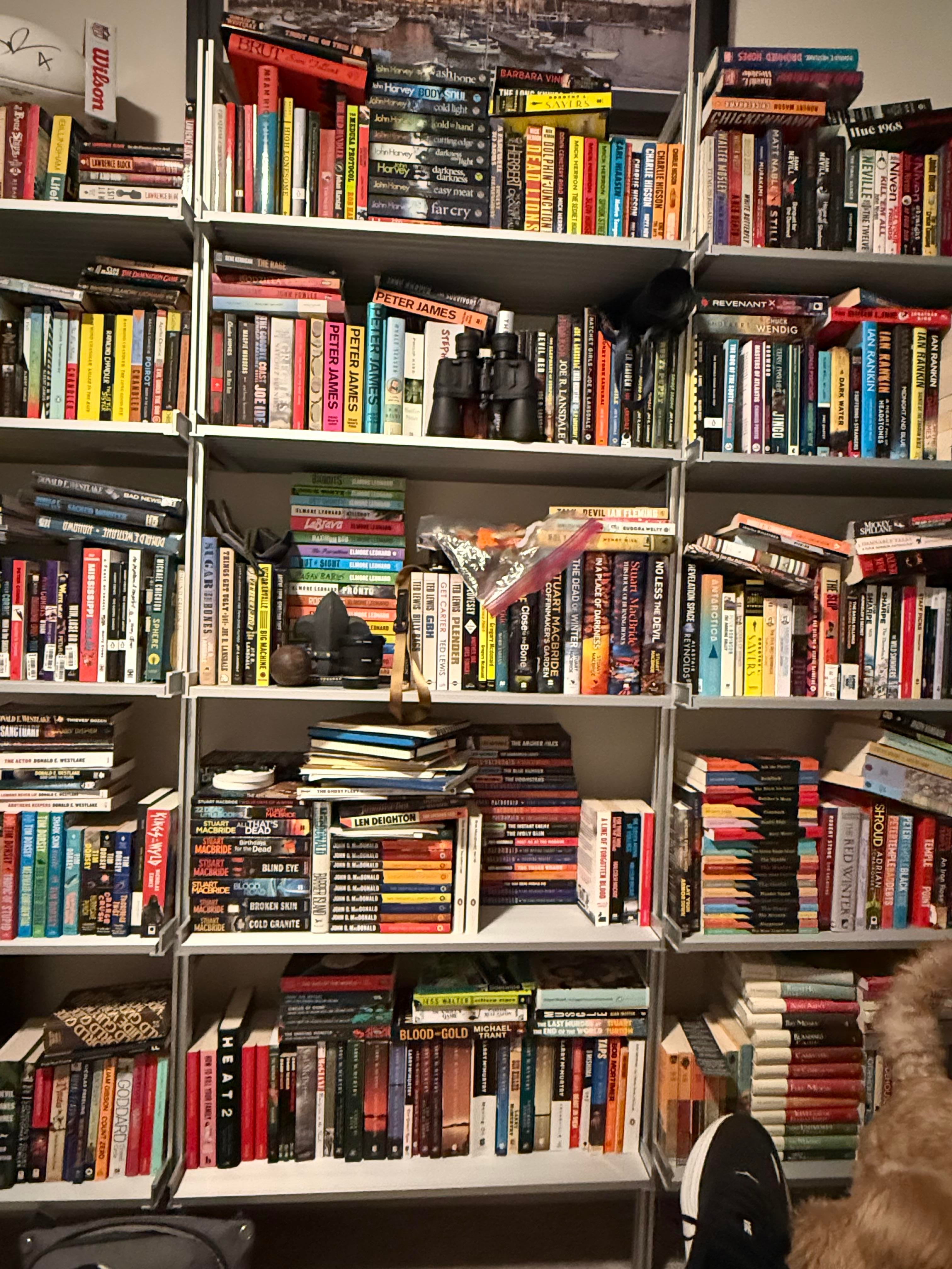 Bookshelf collection