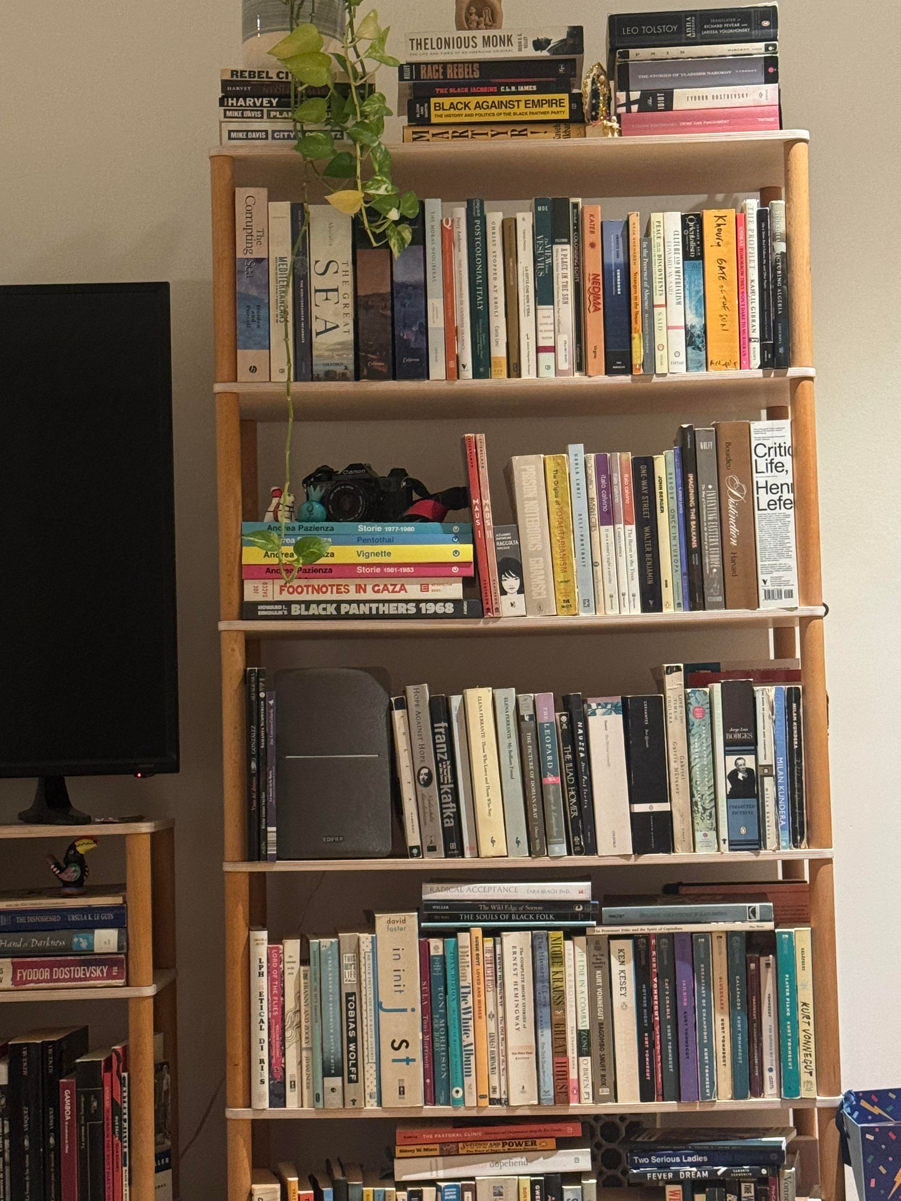 Bookshelf collection