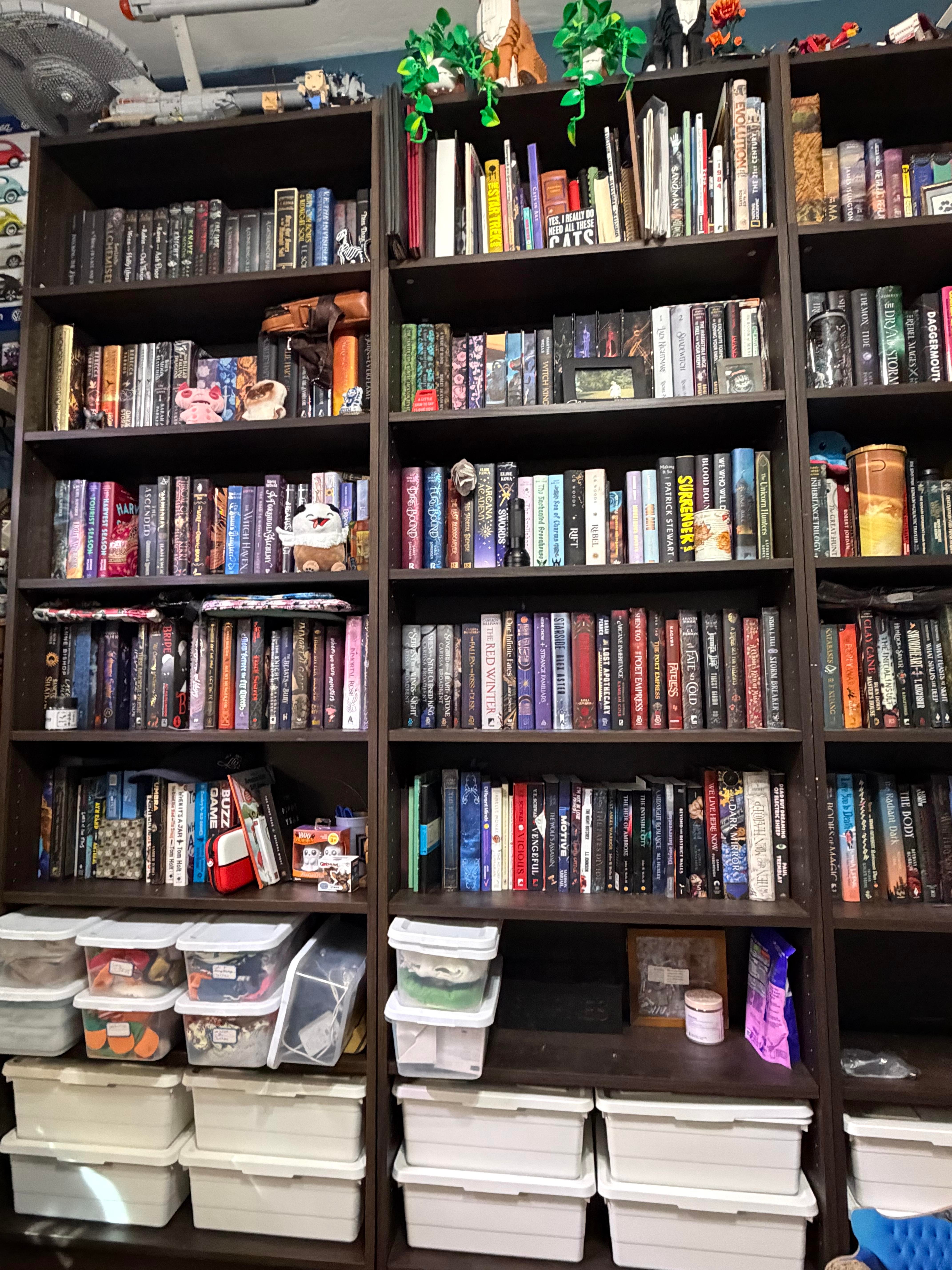 Bookshelf collection