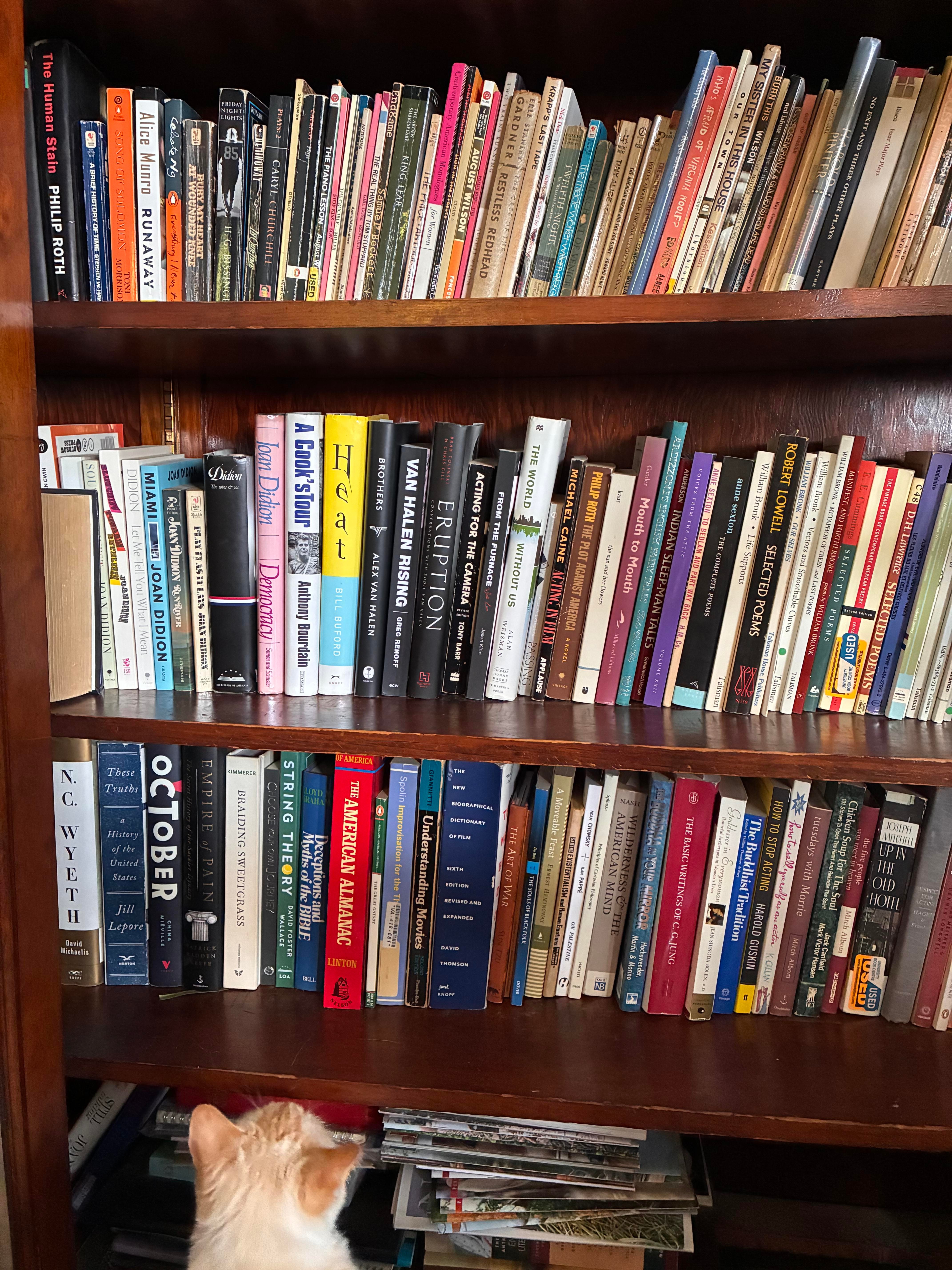 Bookshelf collection
