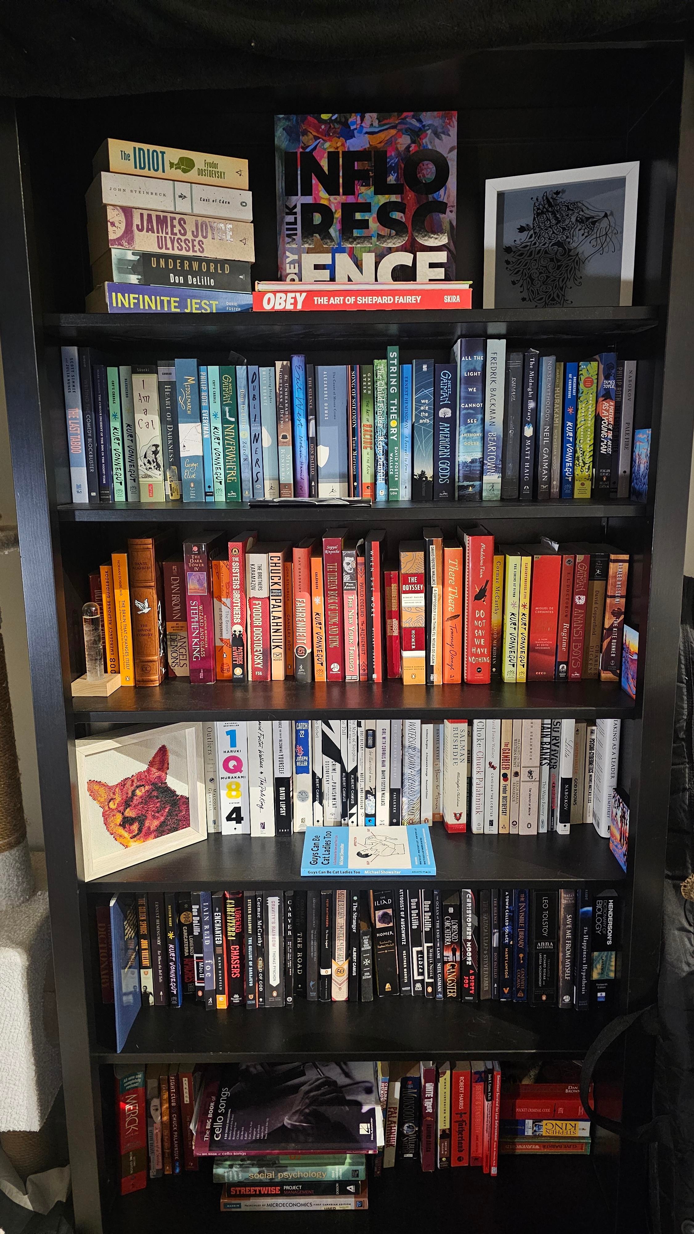 Bookshelf collection
