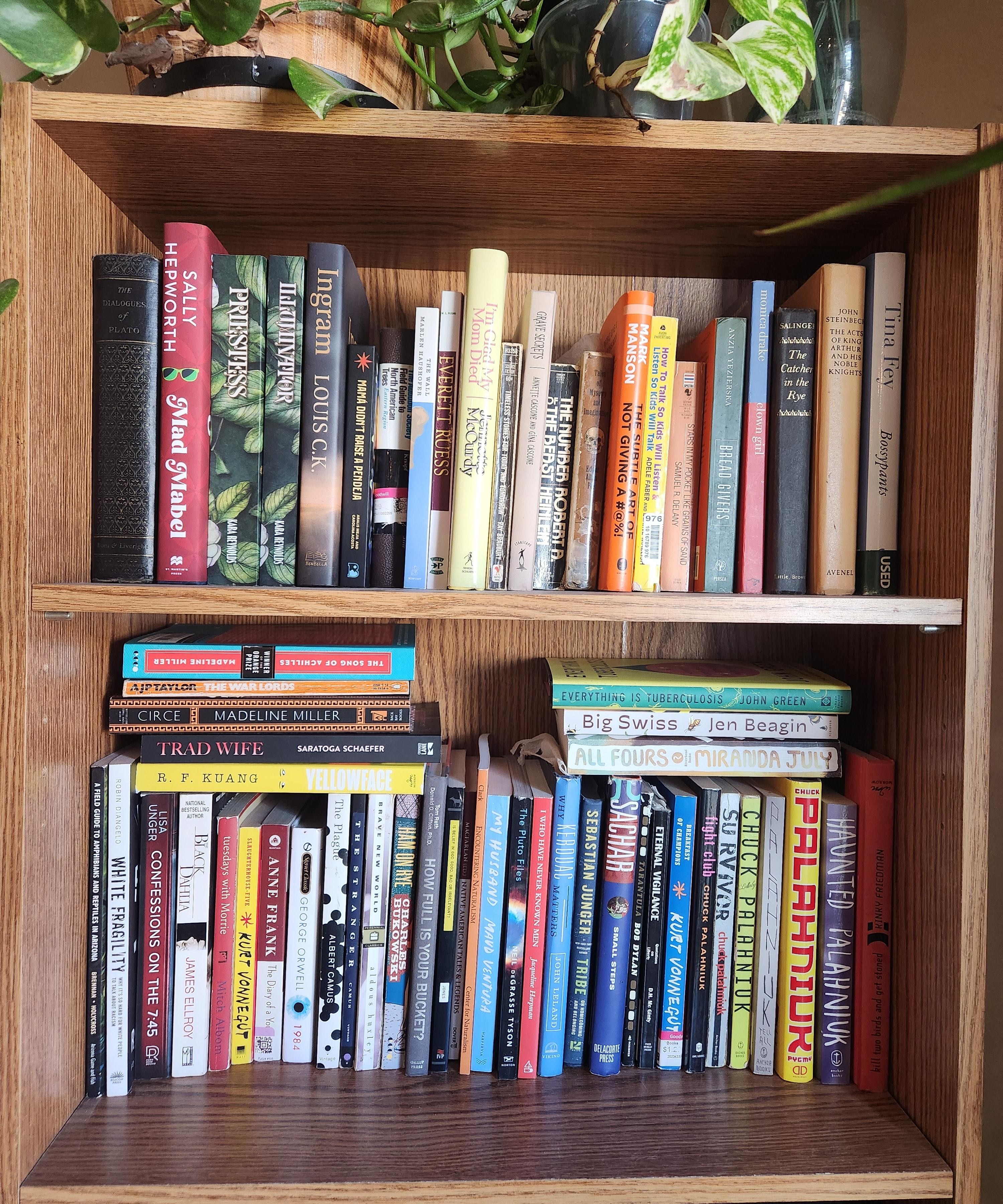 Bookshelf collection