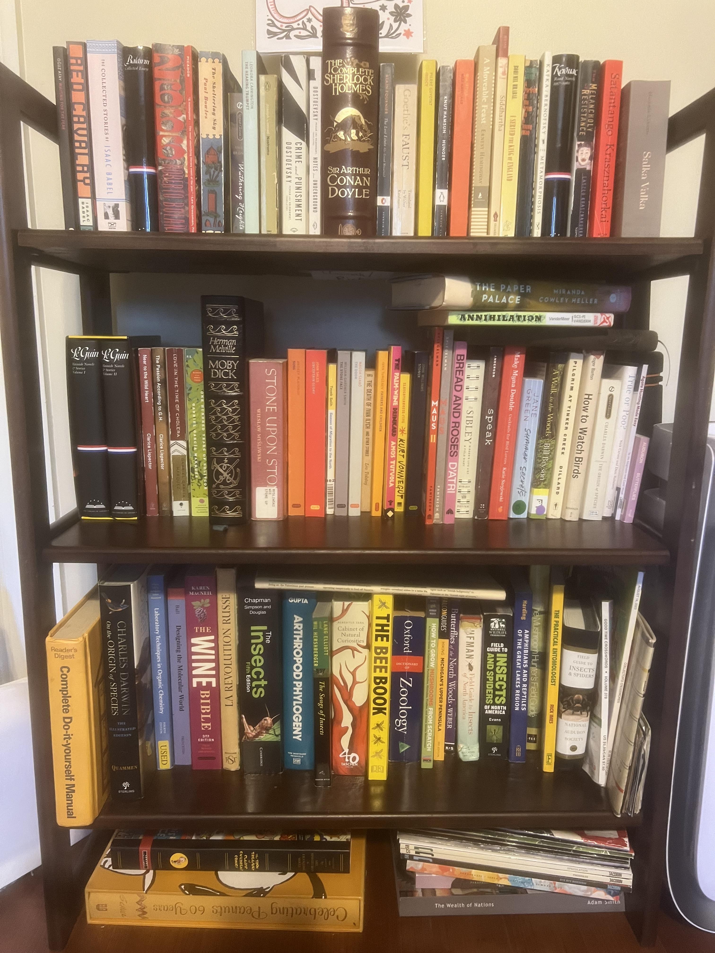 Bookshelf collection